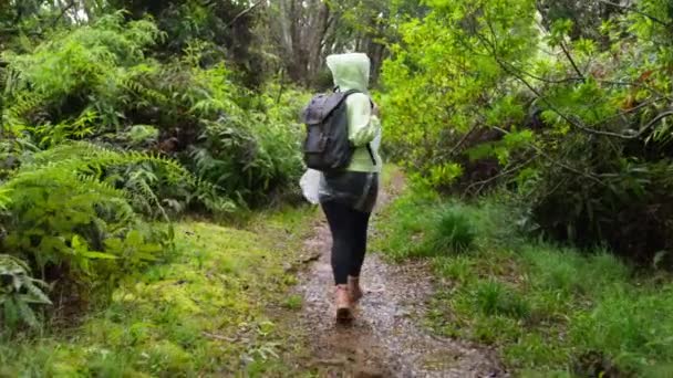 Hiking Woman Walk Rainforest Jungle Rear Back View Girl Hiker — Stockvideo