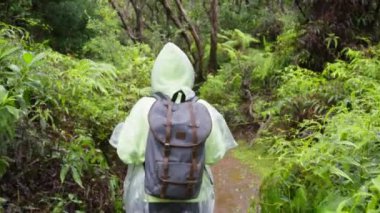 Sırt çantalı ve yağmurluklu genç yürüyüşçü kadın yağmur ormanlarında canlı yeşil renkli orman ağaçlarının manzarasıyla geziniyor. Yağmurda Hawaii Kokee Parkı 'nı keşfeden maceraperest kız.