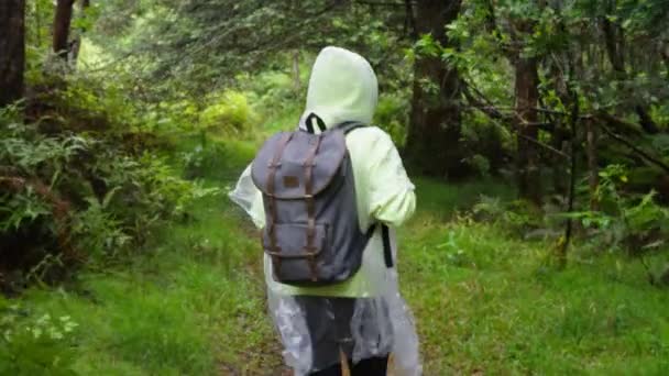 Back View Happy Free Hiker Woman Backpack Rain Poncho Exploring — Stock video