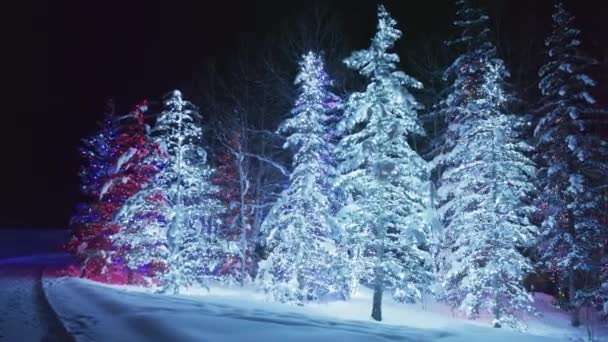 Cinematic Panorama Magical Winter Wonderland Forest Fairytale Slow Motion Copy — Stock videók