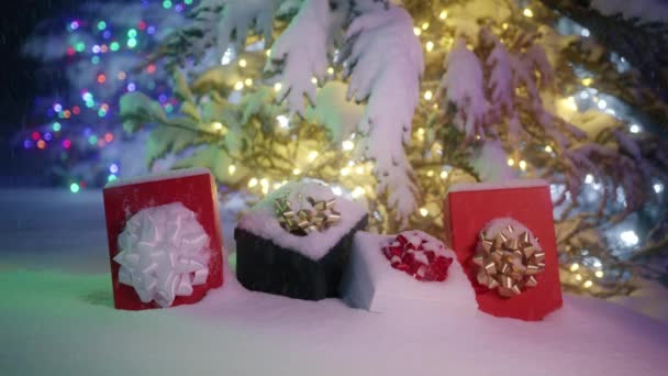 Scenic Christmas Background Snowy Dark Night Winter Forest Beautiful Christmas — Αρχείο Βίντεο