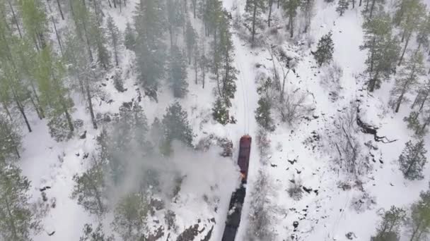 Top Aerial Shot Railway Train Snow Covered Forest Trees Aerial — 비디오