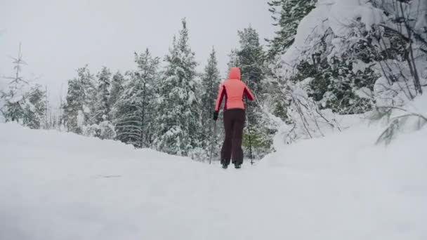 Back View Unrecognizable Woman Going Cross Country Skiing Frozen Winter — Stok video