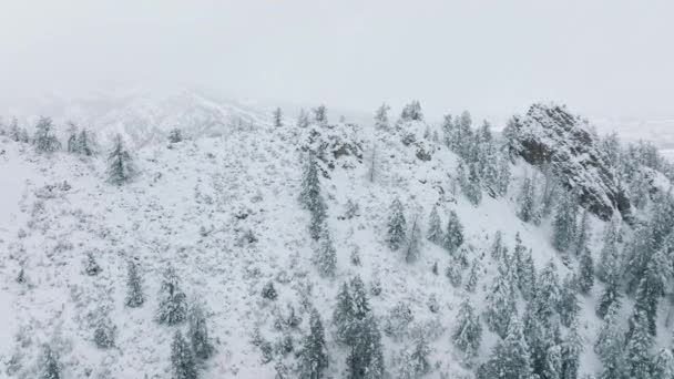 Beautiful Mountain Ridge Winter High Hill Covered Fresh Snow Aerial — Stock videók