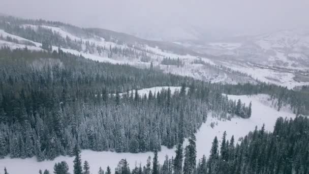 Aerial View Aspen Snowmass Aerial View Famous Snowmass Ski Resort — Αρχείο Βίντεο