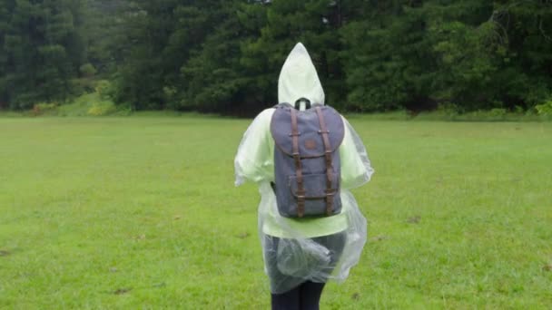 Tourist Rain Poncho Backpack Exploring Rainforest Cinematic Meadow Lime Green — Video Stock