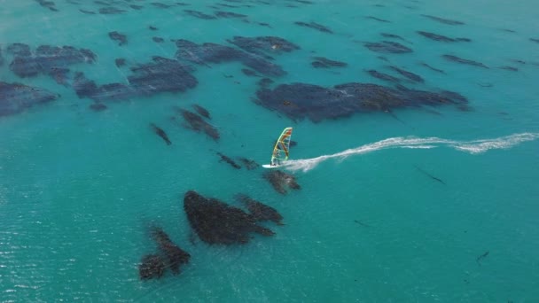 Jul 2022 California Usa Stunning Aerial Footage Sailor Enjoying Outdoor — Vídeos de Stock