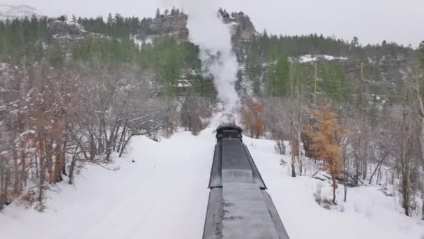 Aerial Cinematic Drone Flying Moving Steam Train Exciting Railroad Tour — Video Stock