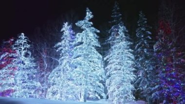 Christmas tree decoration with falling snow, smooth motion camera with parallax effect. Cinematic panorama magical winter wonderland forest from fairytale. Slow motion copy space Christmas background