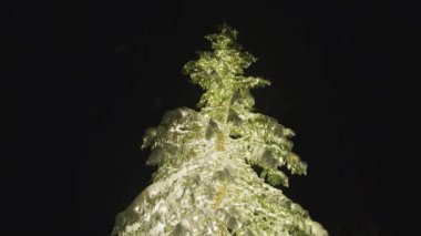 Festive Holiday Christmas tree with light garlands. Glowing golden Christmas tree under fresh snow on dark night sky background. Amazing Christmas eve slow motion footage around tall illuminated pine