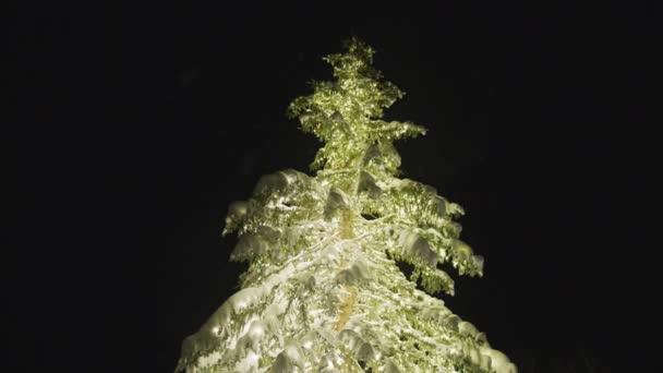 Festive Holiday Christmas Tree Light Garlands Glowing Golden Christmas Tree — Stockvideo