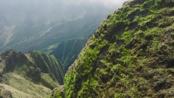 Incredible Shot Wild Goats Climbing Steep Green Mountain Wall Napali — 图库视频影像