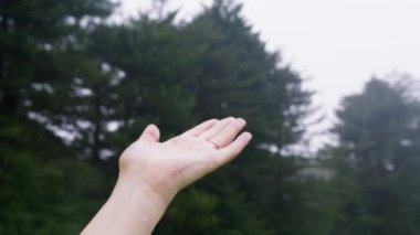 Close up view on female hand under pouring rain with spruce forest on motion background. Happy free hiker woman enjoying refreshing rain and catching rain drops. Drought, fresh water, ecology concept