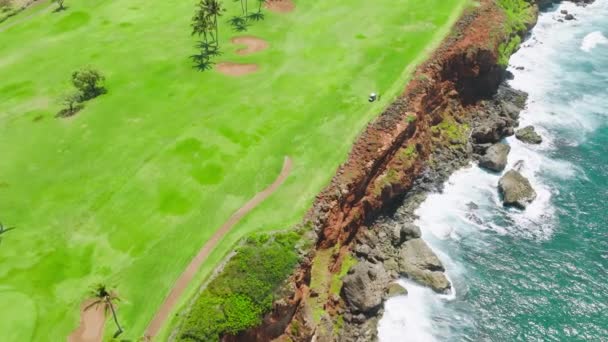 Golf Course Rocky Beach Hawaii Nature Beach Background Scenic Golf — Video