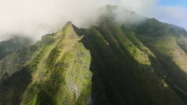 Spectacular Aerial View Napali Coast Mountains Kokee Park Top Kauai — ストック動画