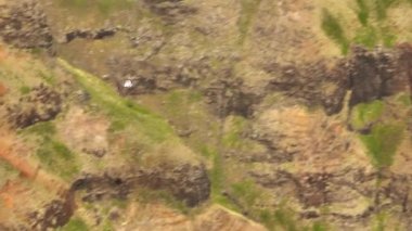 Tracking shot of helicopter with tourists flying in scenic red green volcano canyon on Napali coast, Kauai island Hawaii. Helicopter tour flying low below in incredible green tropical jungle mountain