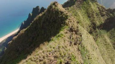 Herd of cute goats run by steep green peaks. Family of mountain goats in Hawaiian wilderness. Goats grazing on green hills of NaPali coast nature park with cinematic coast on background, Kauai island