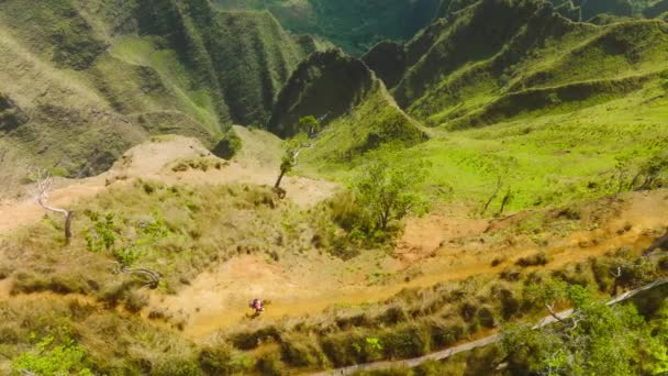 Aerial Epic Shot Woman Hiking Edge Green Jungle Mountain Colorful — 图库视频影像