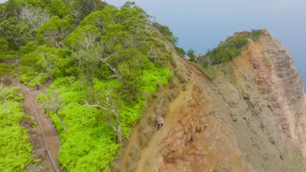 Summer Adventure Journey Nature Outdoors Travel Exploring Napali Kauai Island — Stockvideo