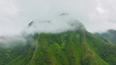Aerial view flying between rain clouds covering peak of green mountain with tropical forest trees. Drone camera flying above jungle rainforest on Kauai Hawaii island USA. 4K nature copy background