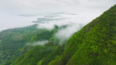 Aerial view of foggy rainforest. Flight over green tropical jungle covered by clouds and mist. Aerial view of green island in the middle of Pacific ocean, covered by tropical trees and rainforest USA