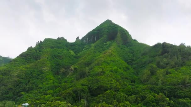 Aerial View Tropical Rainforest Hawaii Flying High Jungle Mountain Cloudy — Stok video
