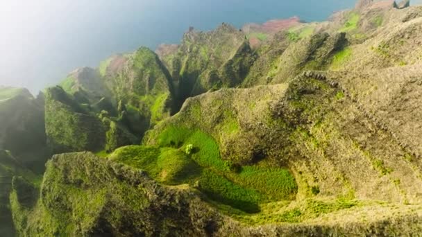 Aerial Top Beautiful Fragile Environment Cinematic Hawaii Island Landscape Summer — 图库视频影像