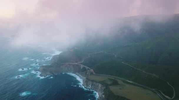 Cloudy Purple Skyline Cinematic Ocean Greenish Forests Aerial View Cinematic — Wideo stockowe