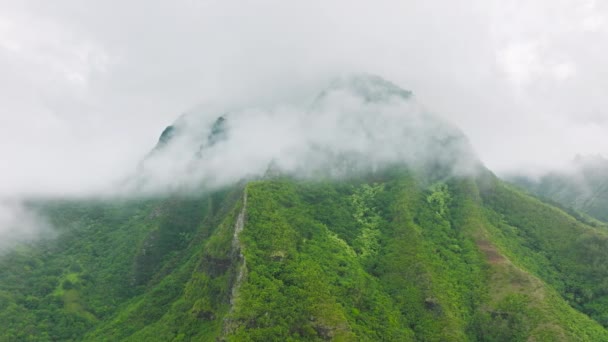 Vibrant Green Mountain Summit Hidden White Rain Clouds Tropical Jungles — Stok video