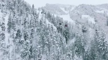 Aspen Mountain Ski and Snowboard Lift Gondola in Colorado Aerial USA. 4K aerial drone flying fast above ski cabins riding between scenic snow covered trees with mountain slopes view on cold winter day