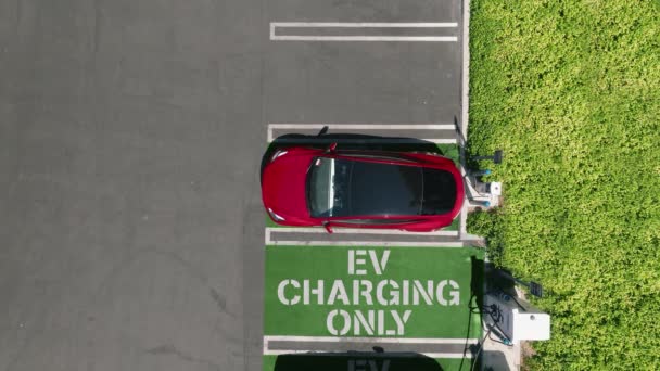 Αεροφωτογραφία Του Κόκκινου Αυτοκινήτου Φόρτισης Στο Πράσινο Επιχειρηματικό Πάρκο Ηλεκτρικά — Αρχείο Βίντεο