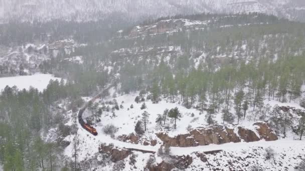 Train Winter Day Colorado Mountain Canyon Evergreen Fir Forest Snowing — Wideo stockowe