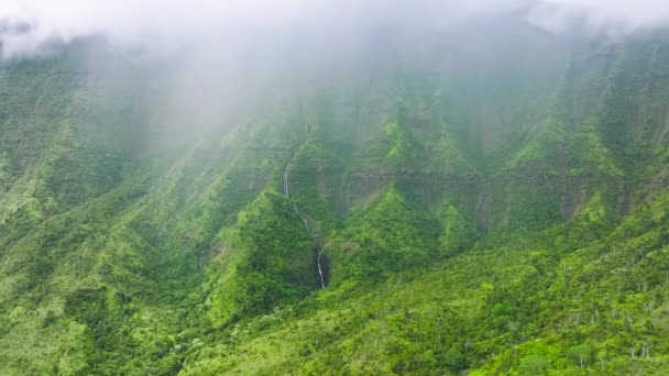 Dramatic Nature Landscape Pouring Tropical Rain Green Mountain Wall Rainforest — Vídeos de Stock
