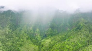 Epic rain pouring in jungle mountains with scenic waterfall streams. Aerial tropical rain at green tropical nature, rainforest jungles on cloudy day. Jurassic world island Kauai, Hawaii, 4K background