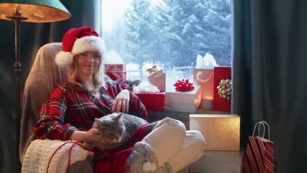 Touching Moment Pet Owner Fluffy Grey Cat Laying Owners Lap — Vídeo de Stock