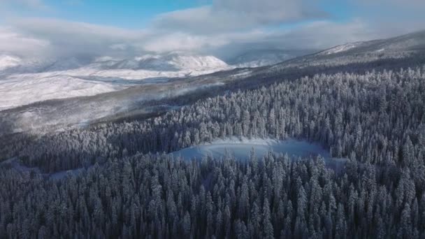 Beautiful Winter Landscape Mountains Cold Sun Breaks Clouds Covered Branches — Video