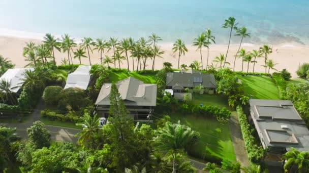 Luxurious Beach Villa Palm Trees Scenic Sandy Beach Private House — 图库视频影像