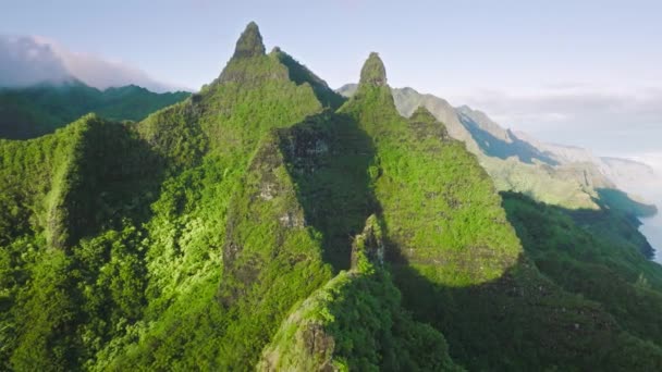 Sunny Landscape Tropical Rain Forest Jungle Island Kauai Background Majestic — ストック動画