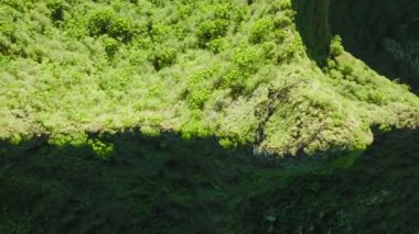 Top down view on high ridge peak with steep walls on sides going down in deep tropical canyon with jungle rainforest. Scenic nature background with copy or text space. Golden sunshine on Mountain hill