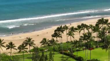 Pristine nature with Polynesian coastline and lavish palm trees. Drone footage of spectacular Tunnels sand beach, washed with Pacific Ocean. High quality FullHD footage