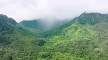 Stunning aerial view of Garden Island in emerald valleys and sharp mountain spires. Jugged cliffs in tropical rainforests of Kauai Coast, Hawaii, USA. High quality 4k footage