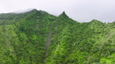 Drone footage of pristine Polynesian paradise island with scenic green canyons. Beautiful cliffs of a beautiful, tropical garden below the cloudy skyline. High quality 4k footage