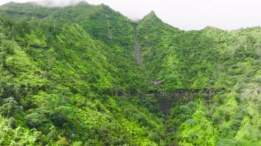 Beautiful cliffs of a beautiful, tropical garden below the cloudy skyline. Stunning aerial view of Garden Island in emerald valleys and sharp mountain spires. High quality 4k footage