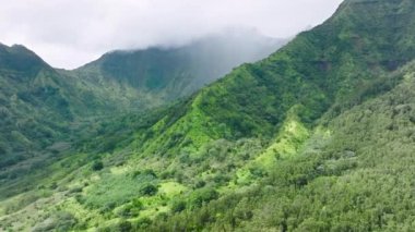 Aerial footage of adventurous landscape with great hiking trails. Undeveloped mountain ranges and rainforests, covered in morning fog. High quality 4k footage