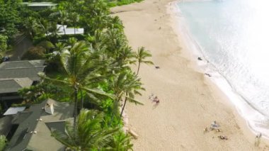 Stunning views of marine landscape along Tunnel Beach in Hawaii, USA. Aerial footage of lavish palm trees, bungalows and sandy shoreline below sunrise sky. High quality 4k footage