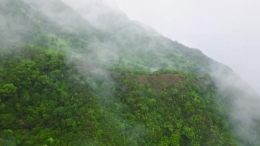Majestic cliffs of the Na pali Coast on the island of Kauai tower above the sea. Aerial view of the lush jungle valleys between lofty spires of the State Wilderness Park. High quality 4k footage