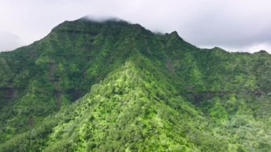 Undeveloped mountain ranges and rainforests, covered in morning fog. Drone footage of pristine Polynesian paradise island with scenic green canyons. High quality 4k footage