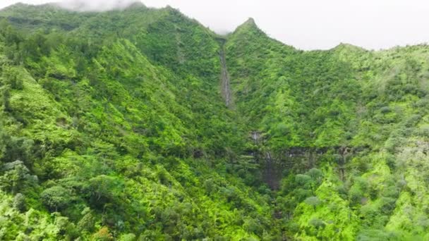 Beautiful Cliffs Beautiful Tropical Garden Cloudy Skyline Stunning Aerial View — Stok video