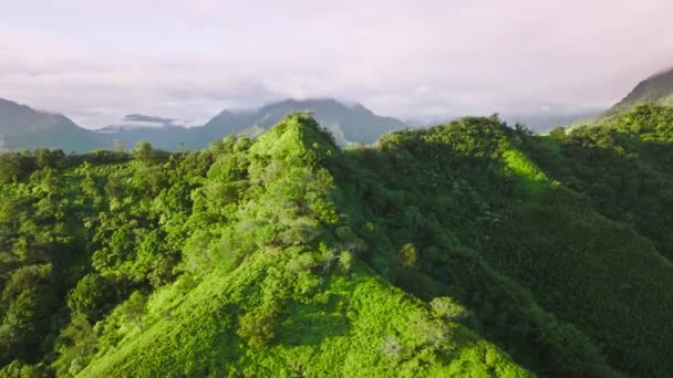 Deep Hanging Valleys Merging Sea Seen Aerial Footage Lush Tropical — Stockvideo