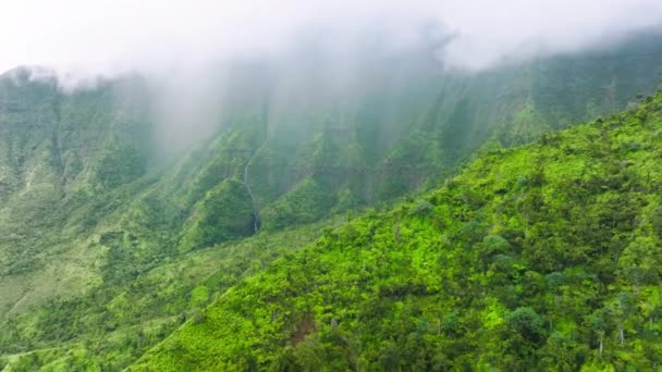Jugged Cliffs Tropical Rainforests Kauai Coast Hawaii Usa Inspiring Aerial — Stok video